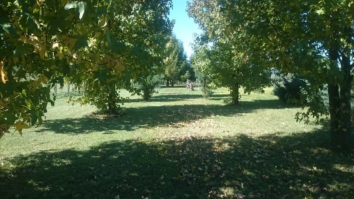 parquero