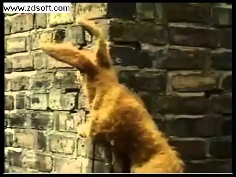 programas de tv