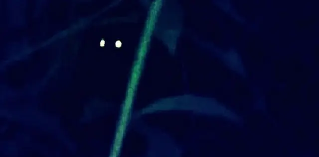 paranormal alan hurd wood paranormal alan hurd wood