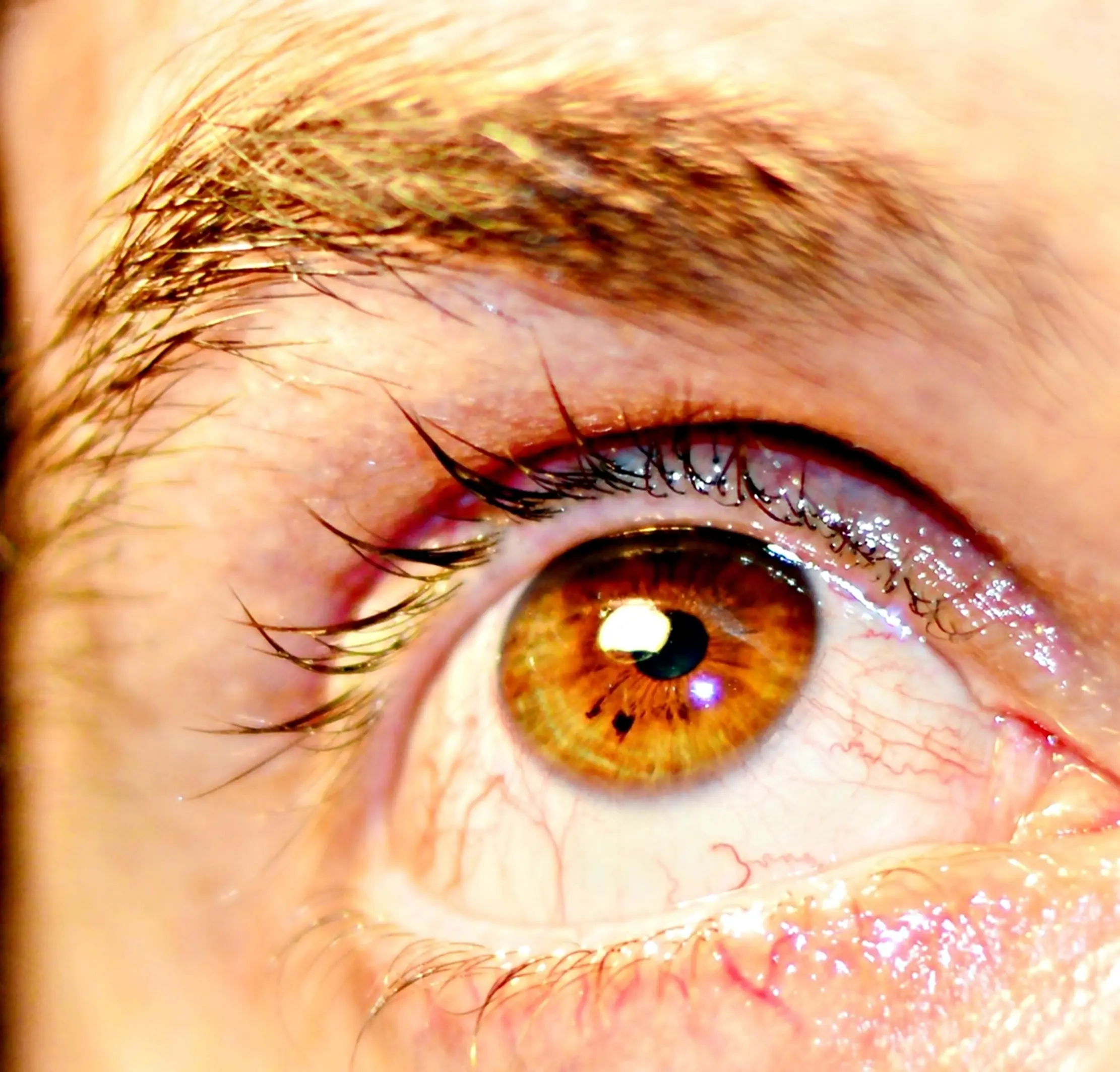 ojos