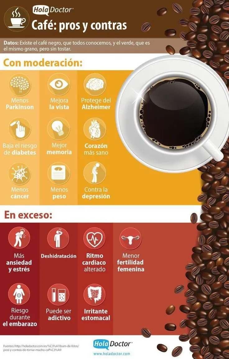 bebidas