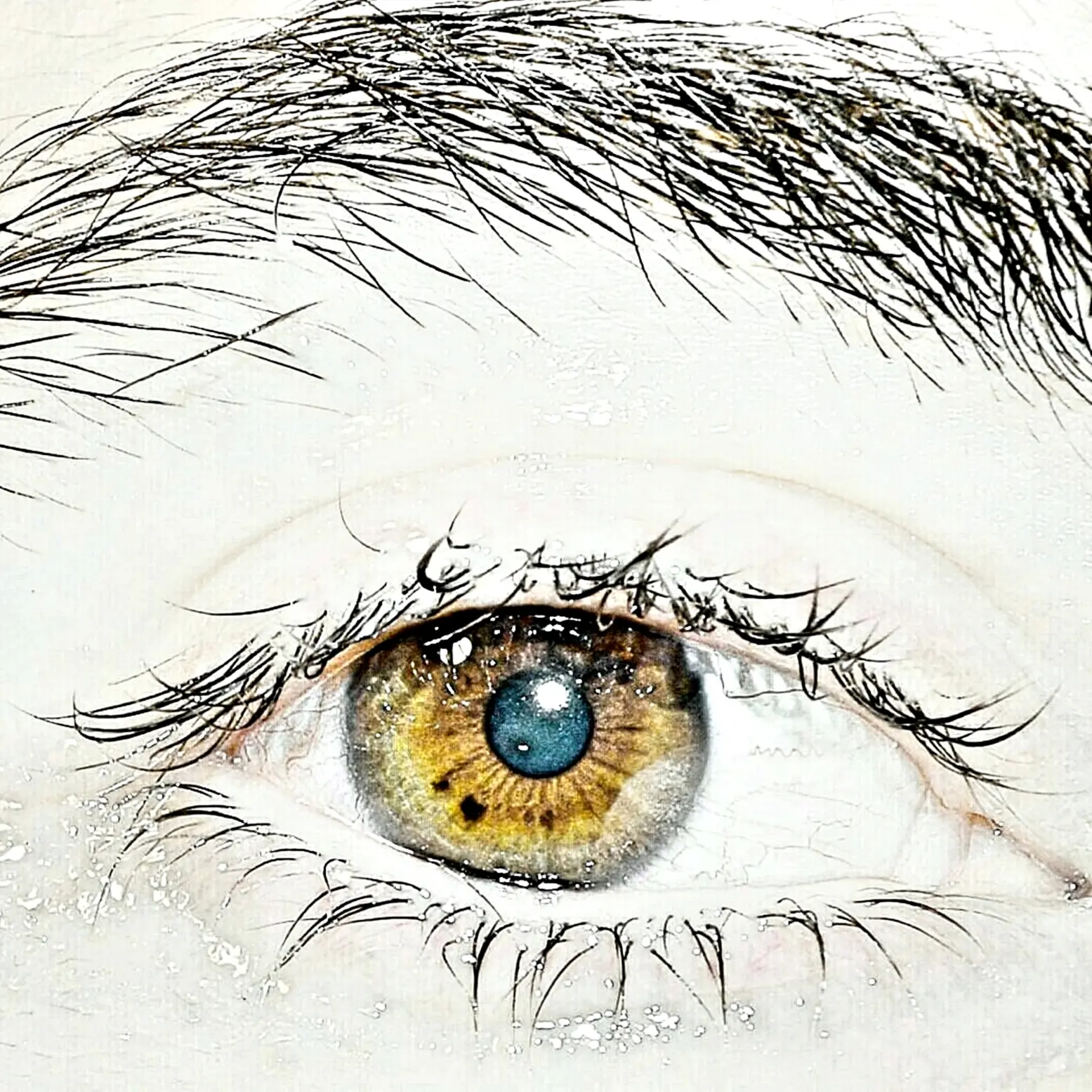 ojos