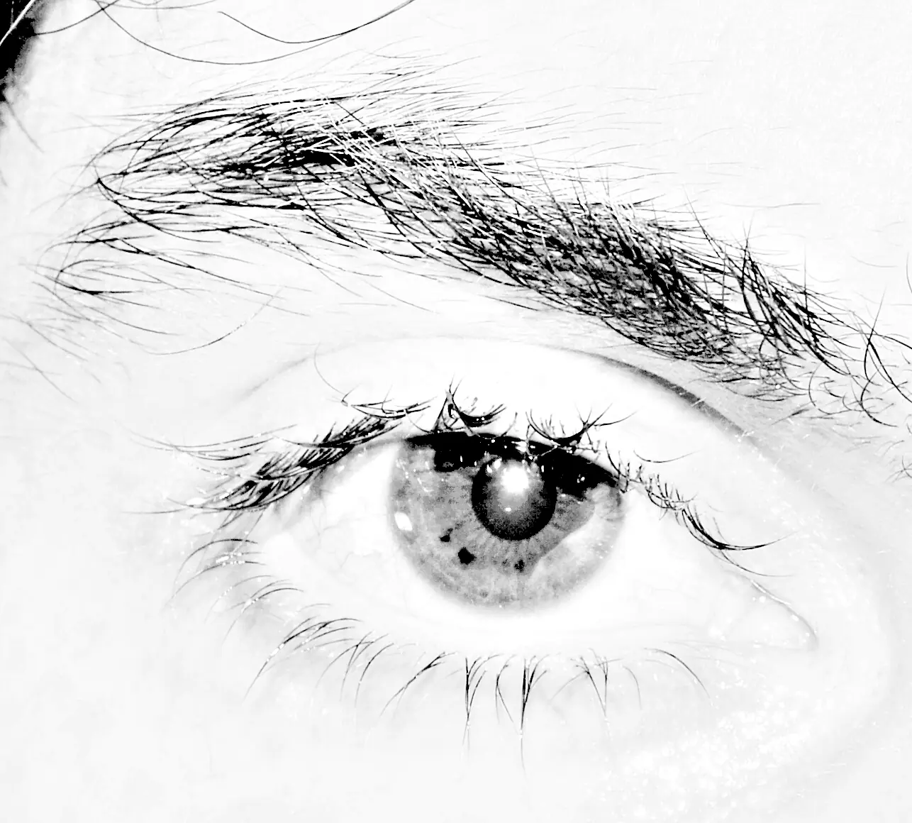 ojos