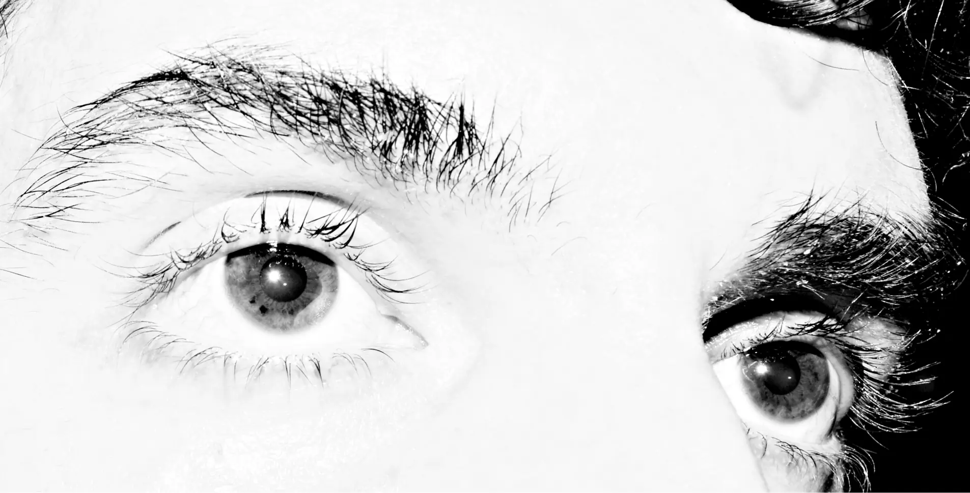 ojo