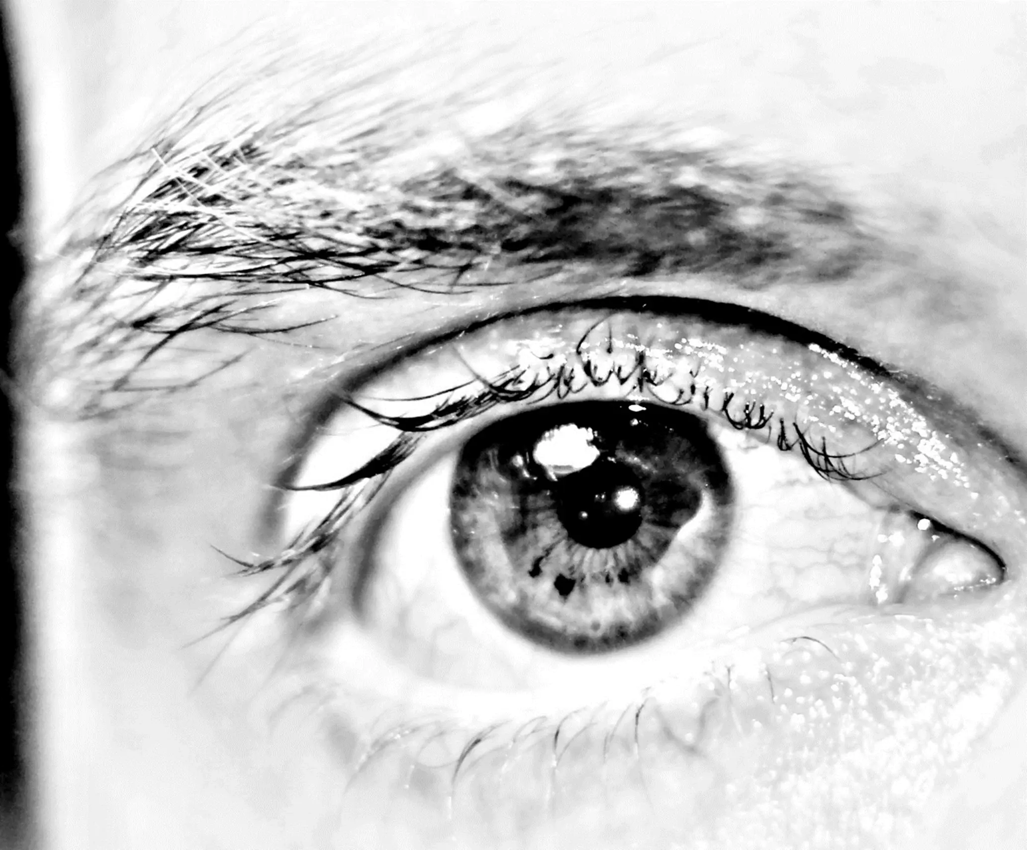 ojos verdes