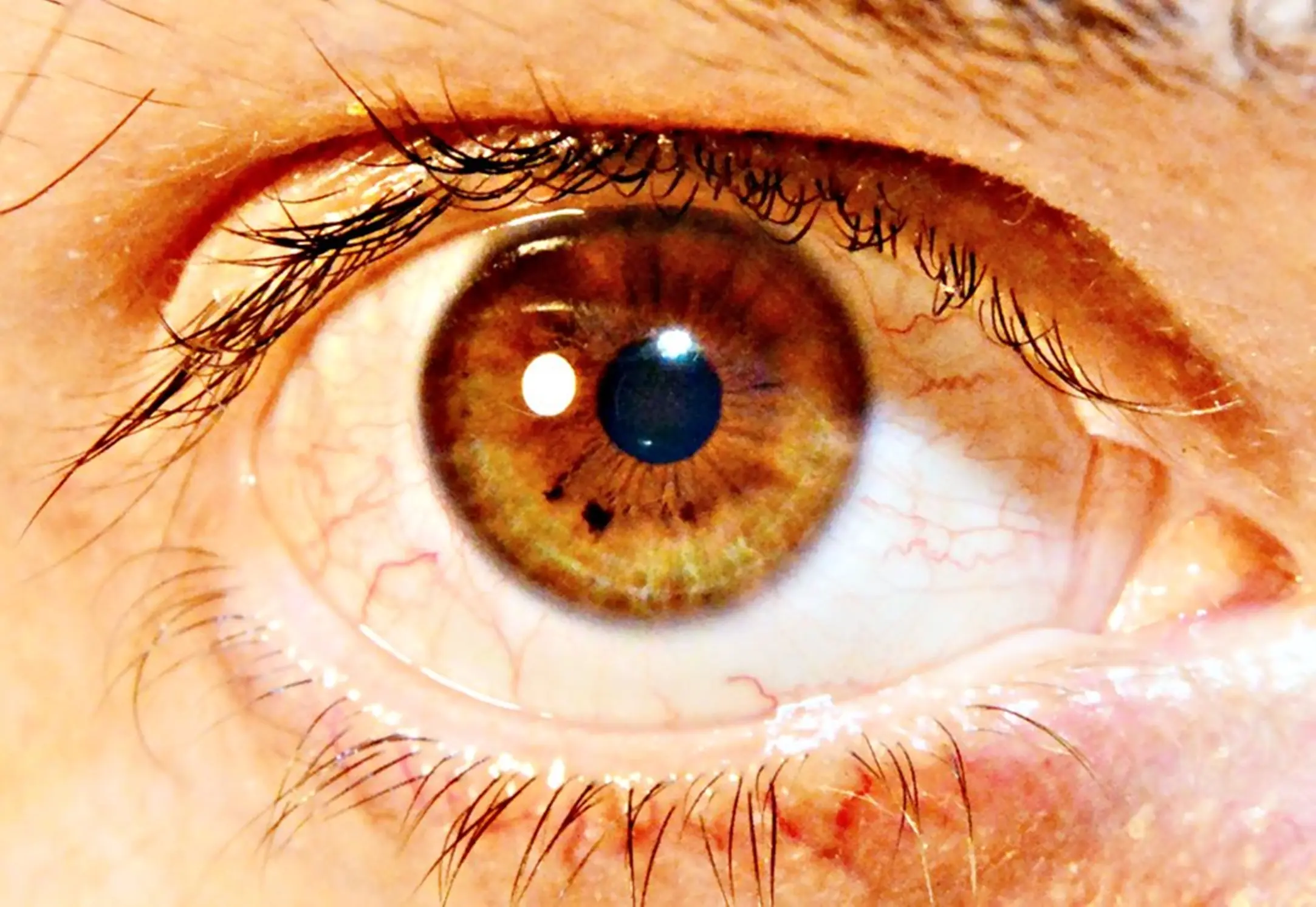 ojo por ojo