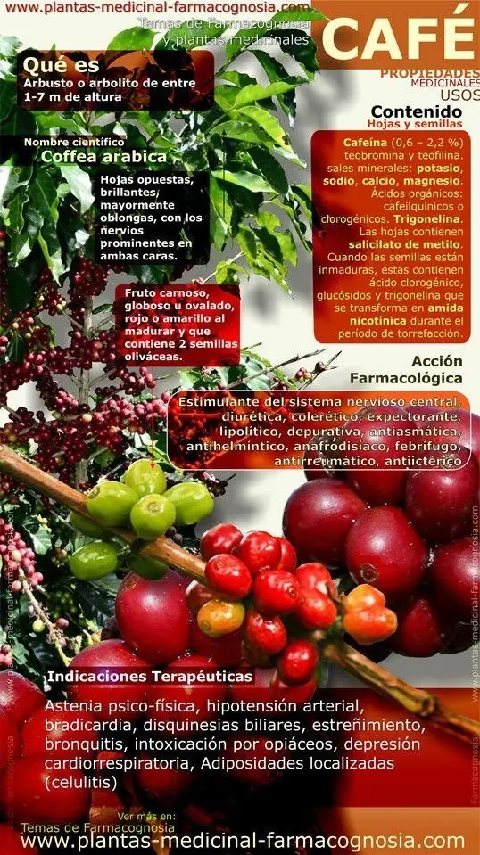 ciencia