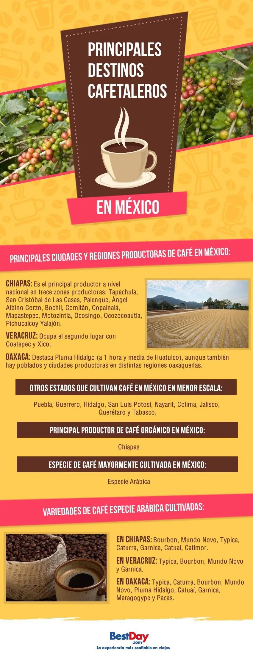 ciencia