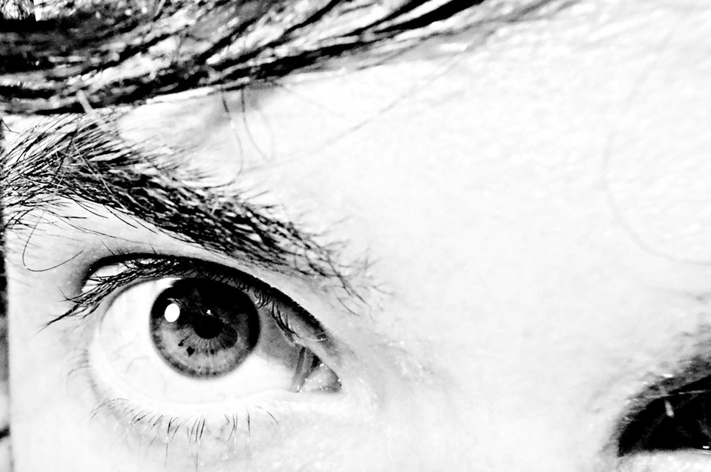 ojos verdes