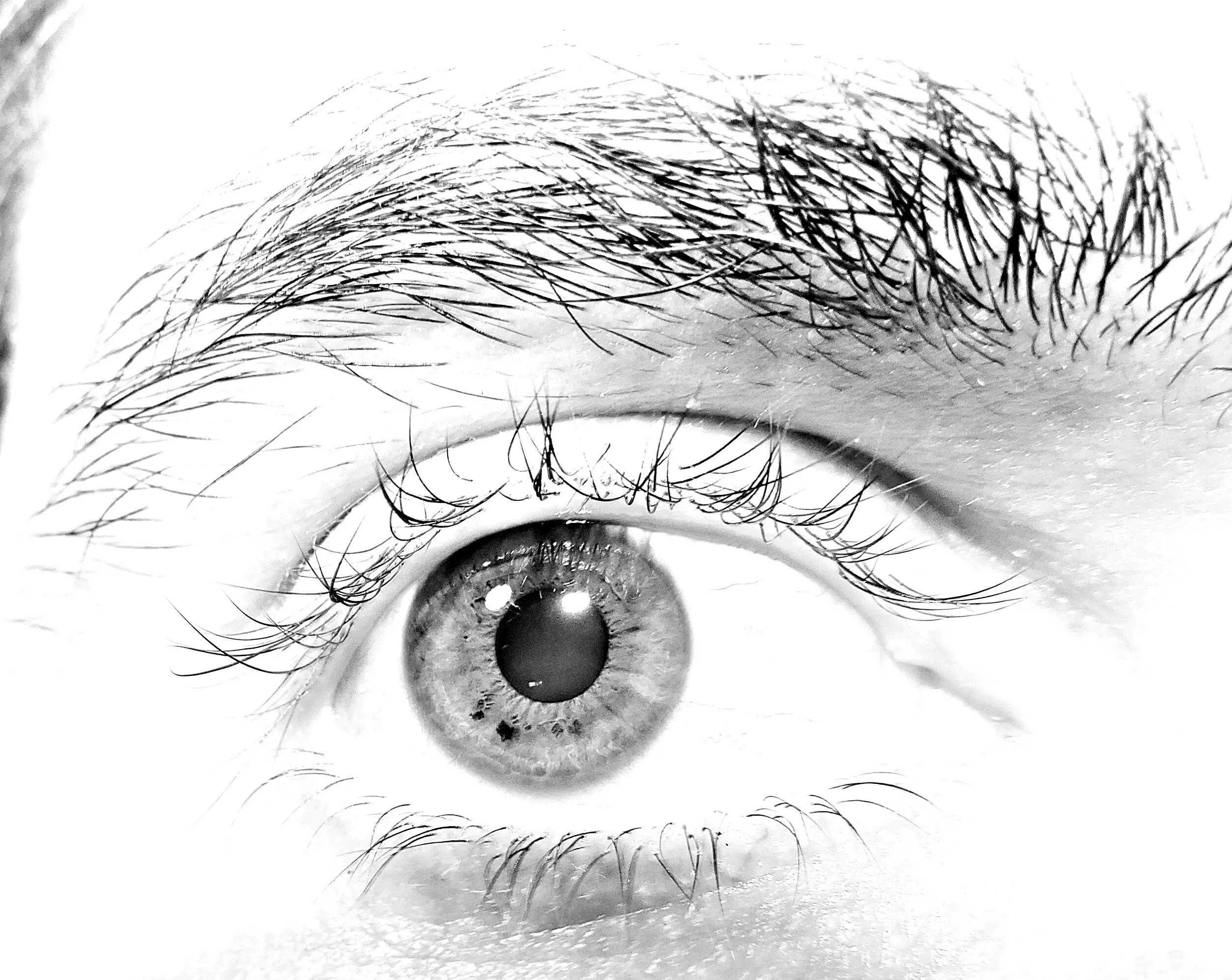 ojos verdes