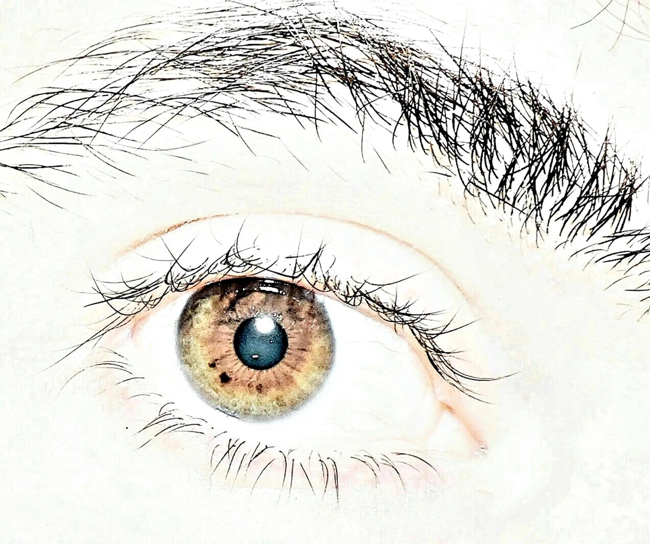ojo por ojo
