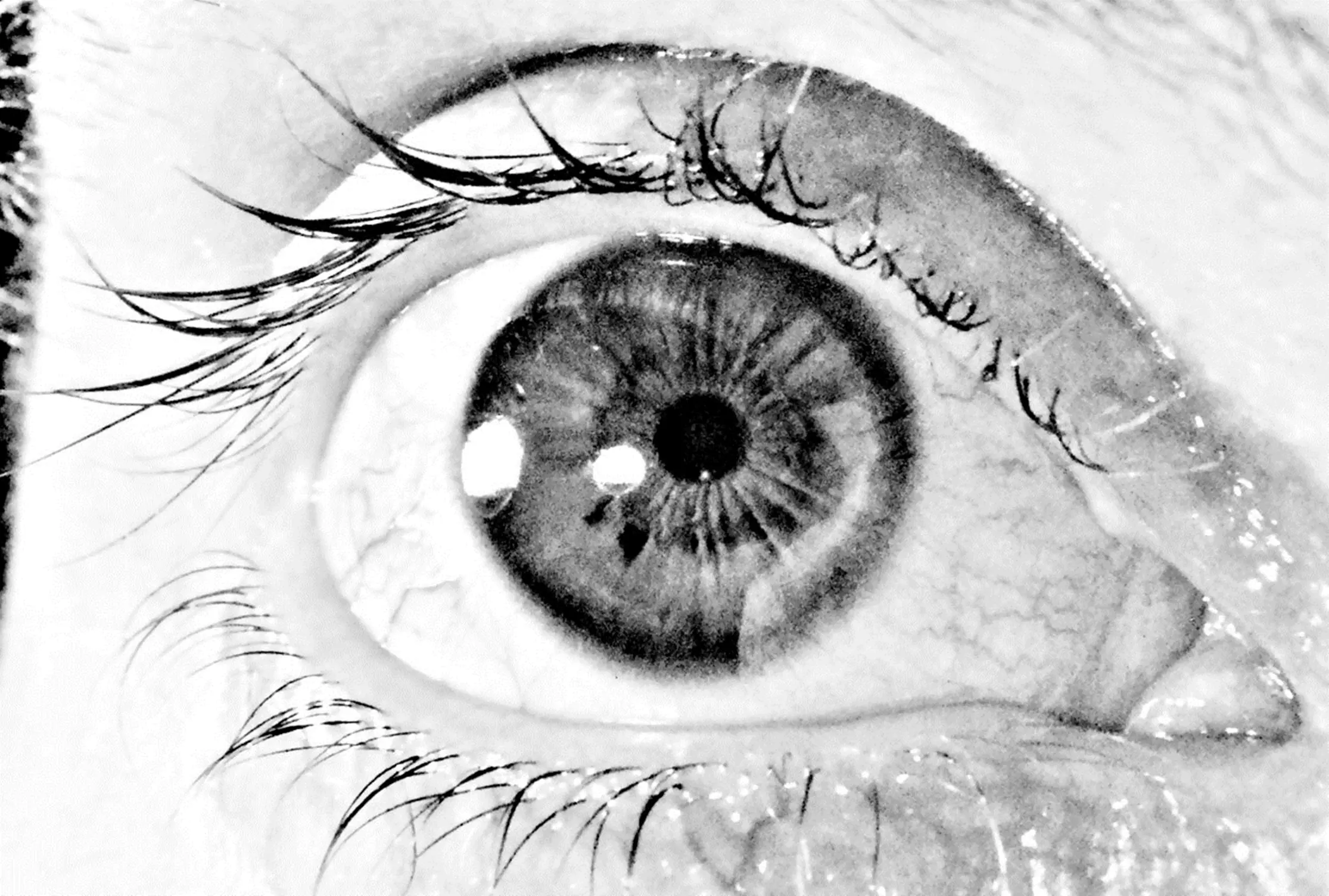ojo
