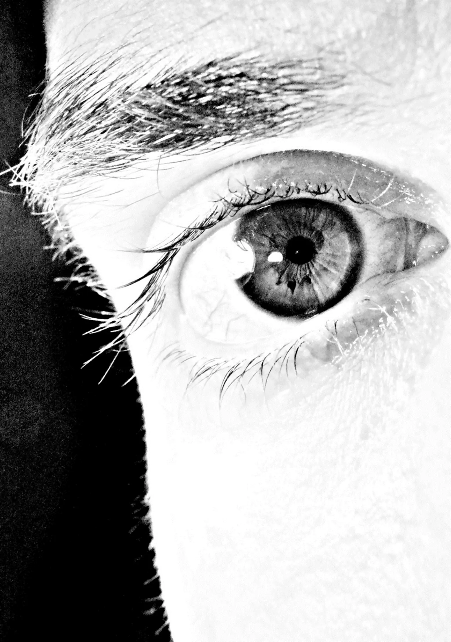 ojos