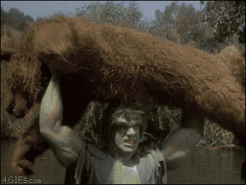Gifs