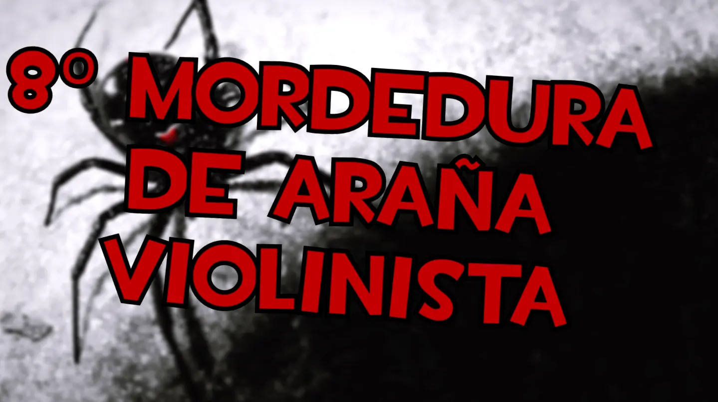 paginas que no debes visitar