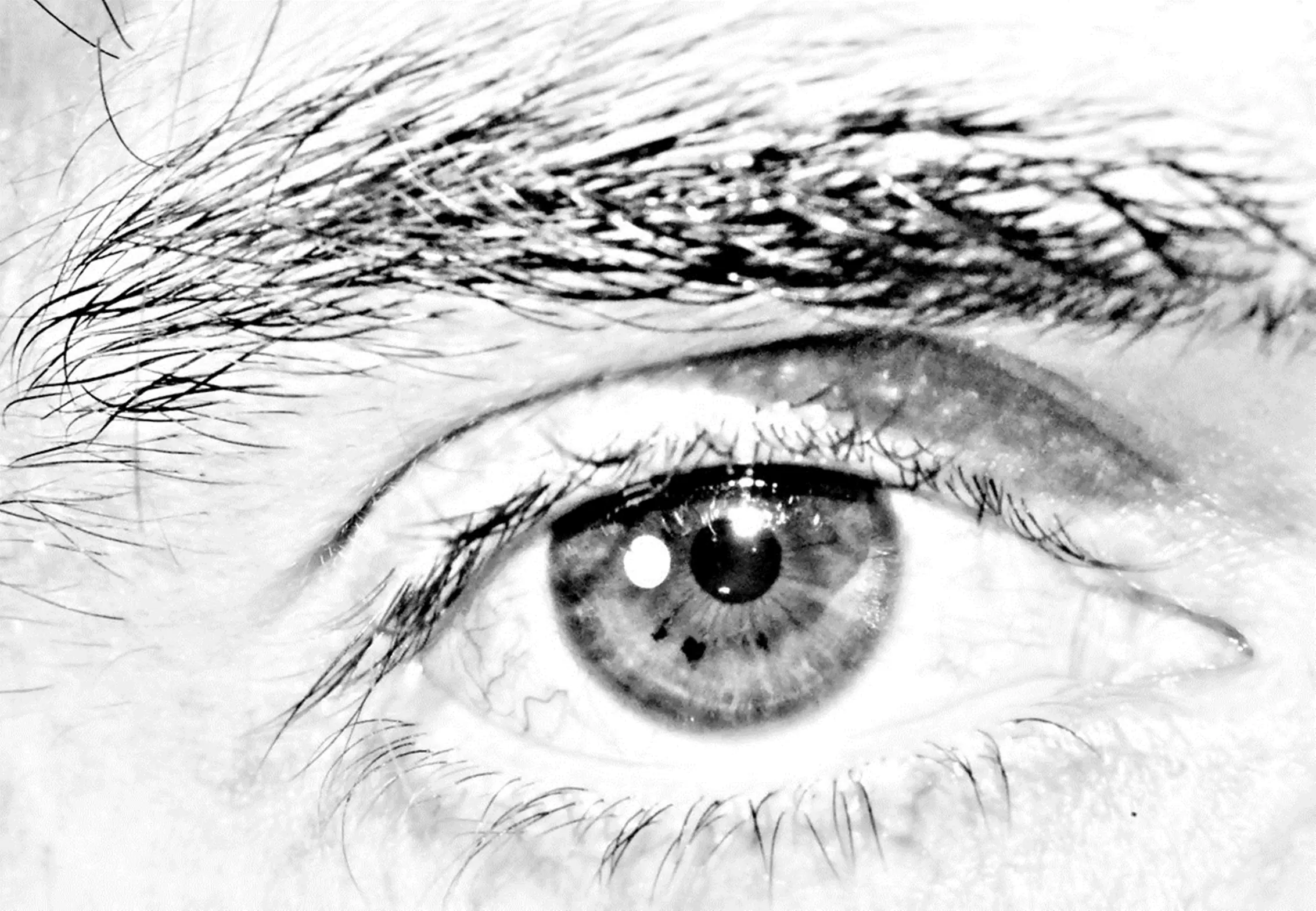 ojos