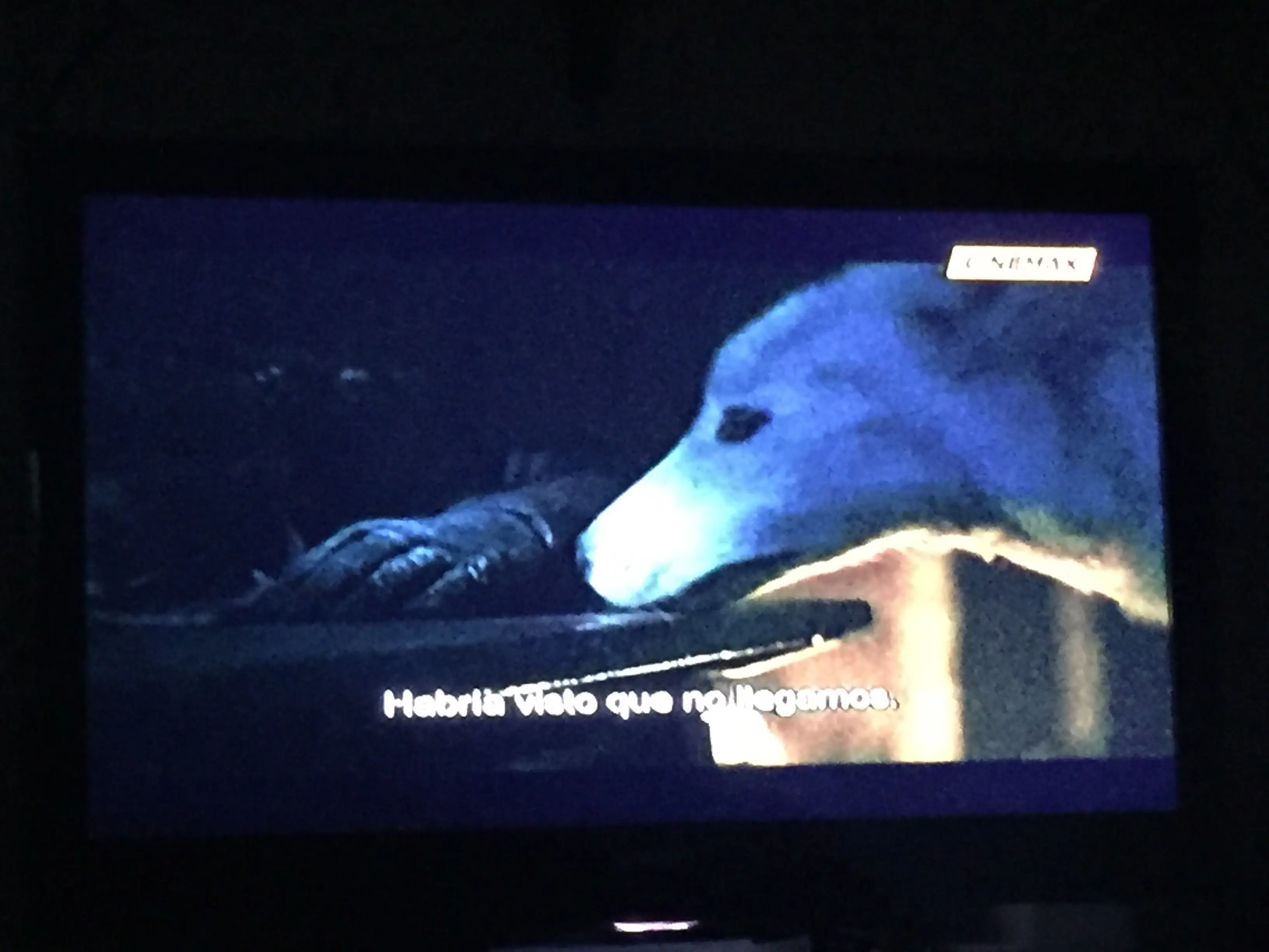 hierro