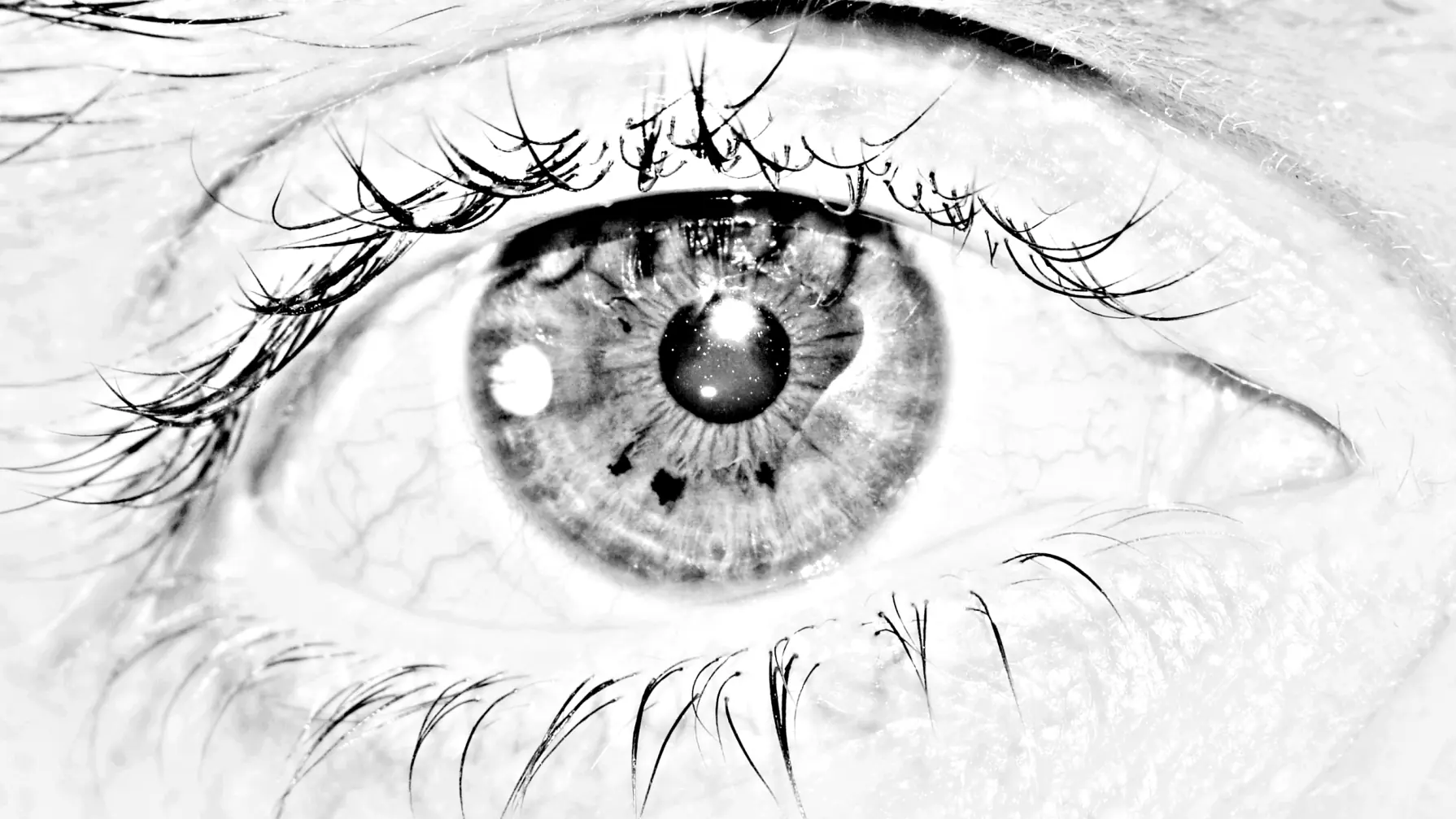 ojo por ojo