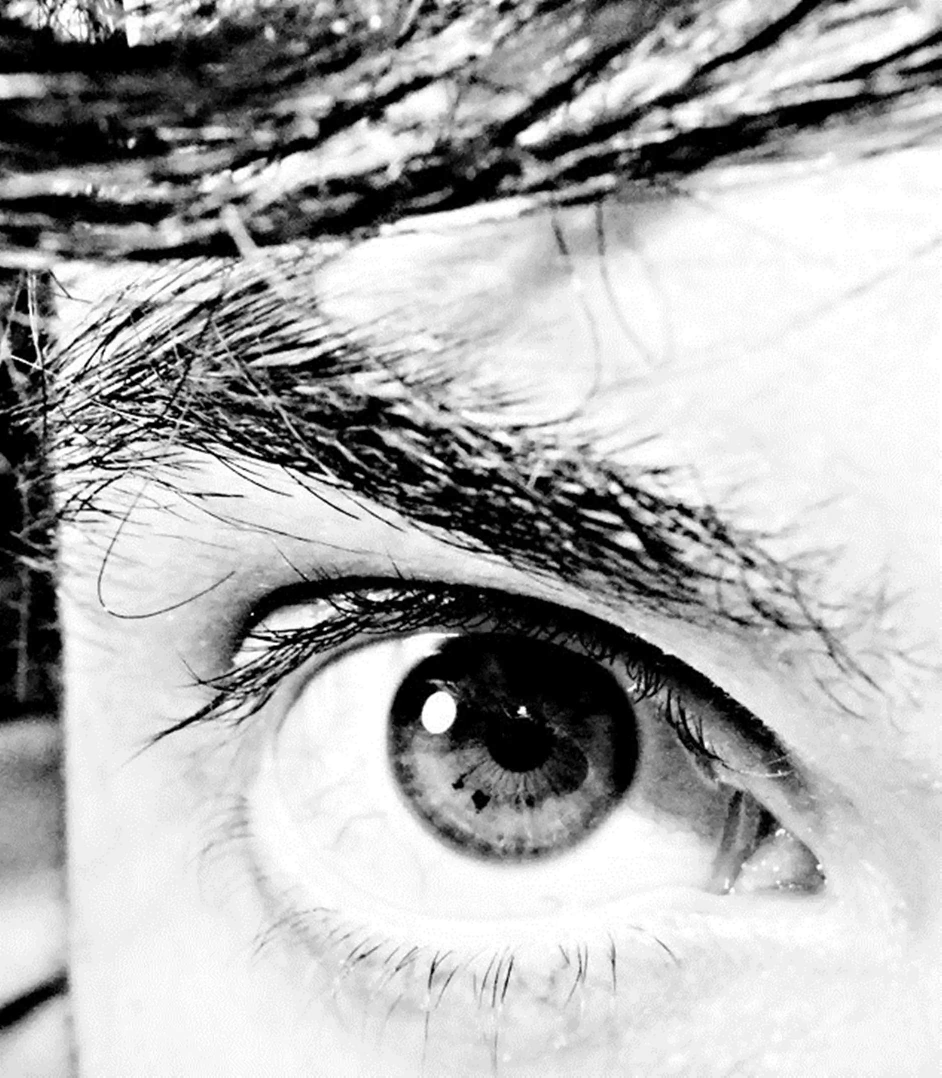 ojo por ojo