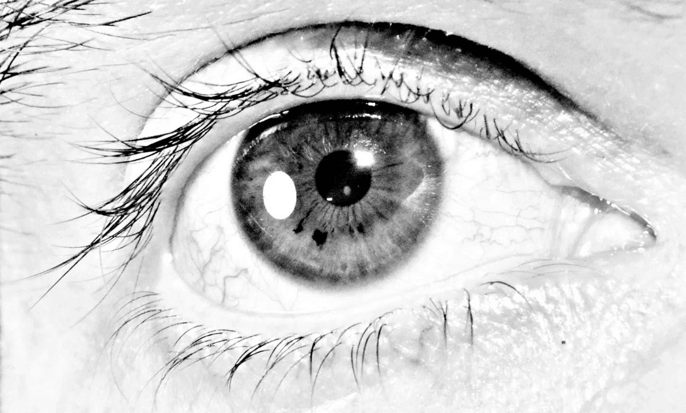 ojos