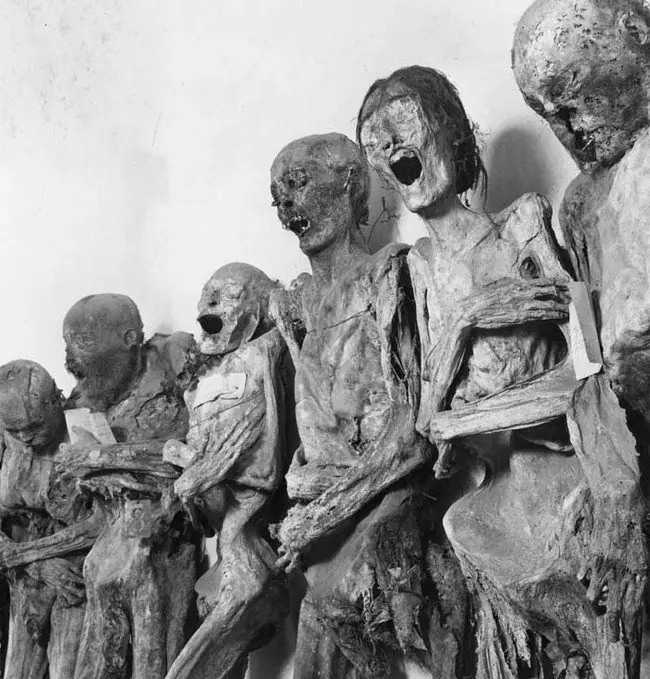 museo museo