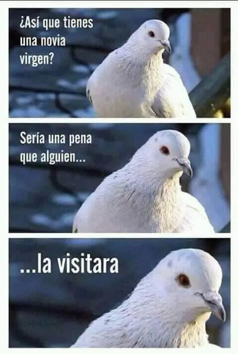 imagenes