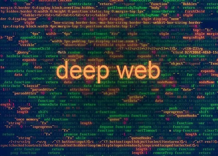 Qué es la red oculta deep web, y como entrar.
