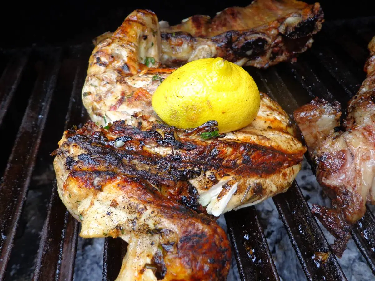 pollo