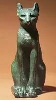 Animales Animales
