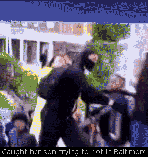 los gifs