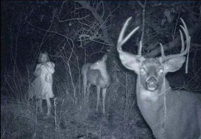 Camaras paranormal