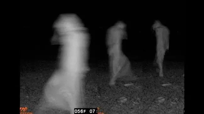 Fantasmas