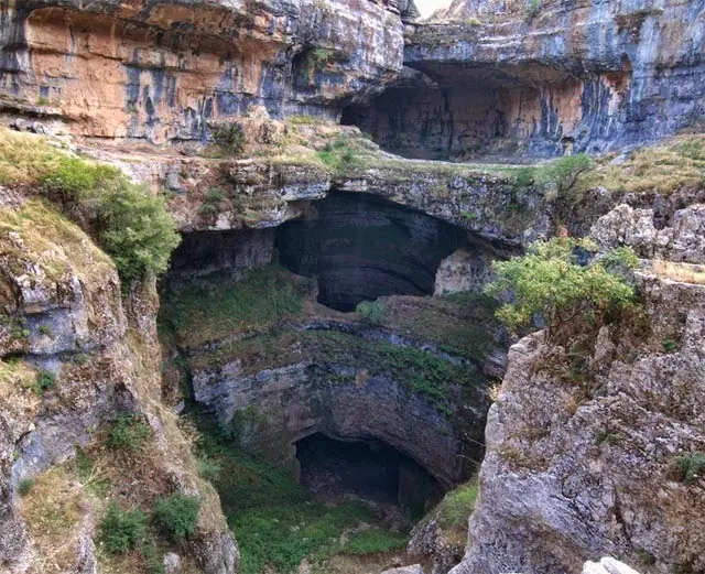 garganta