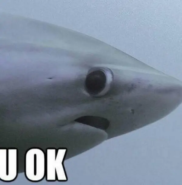 20 Rostros que reconocerás si alguna vez te has emborrachado