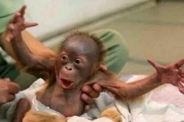 20 Rostros que reconocerás si alguna vez te has emborrachado