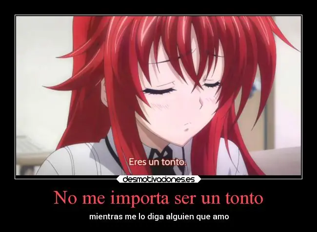 highschool dxd