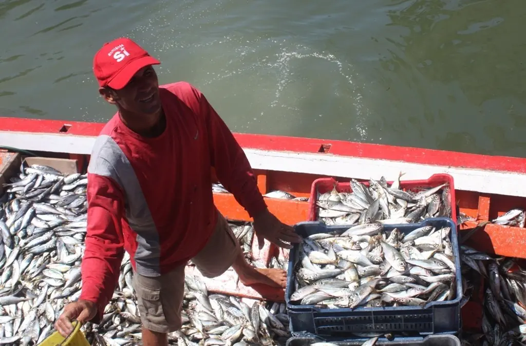 Emergencia alimentaria en Venezuela mega post