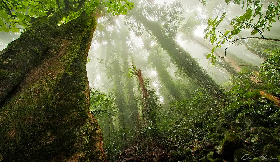 naturaleza