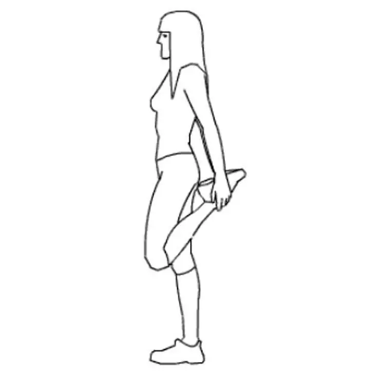 columna