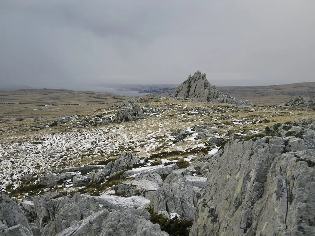 monte longdon