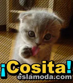 cosas para el facebook. aplicaci cosas para el facebook. aplicaci