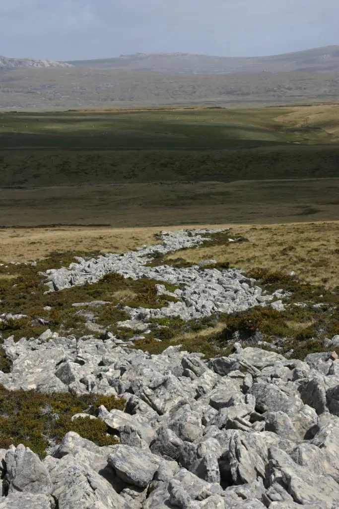 monte longdon