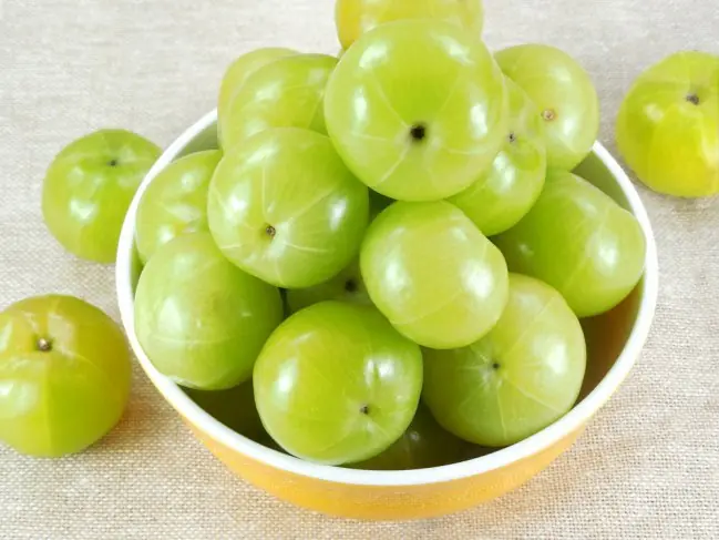 5 hierbas son SANADORAS, ¡así que incorpóralas a tu cocina!