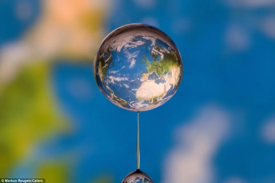 La vida en una gota de agua...