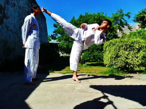 taeo kwon do