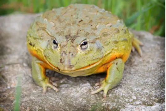 Algunos alimentos que te pueden provocar la muerte