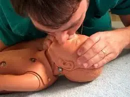cuello