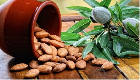 alimentos que pueden provocar mu