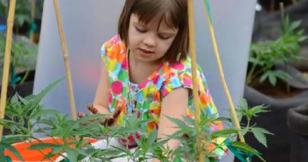 Mira lo que sucede cuando una niña prueba la Marihuana…