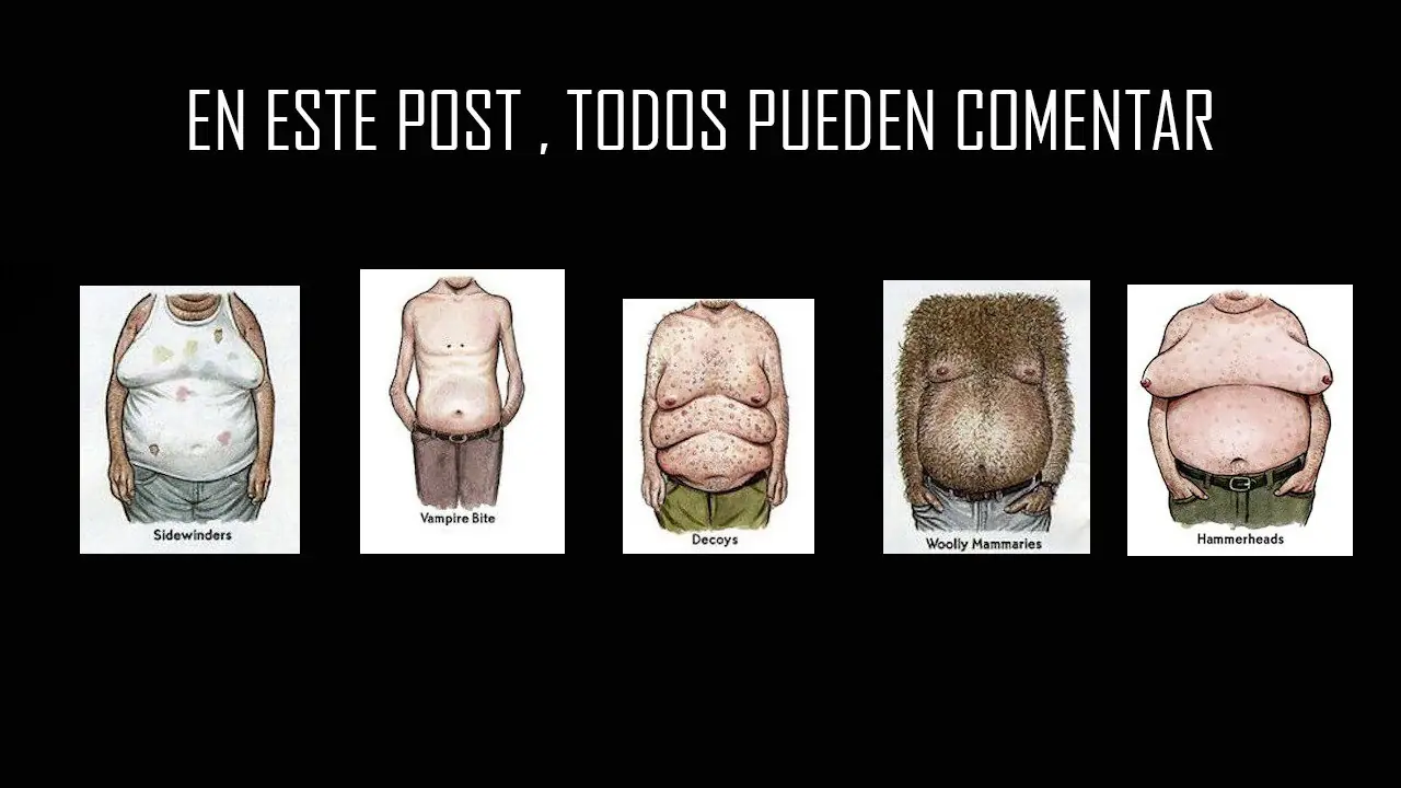 alimento alimento
